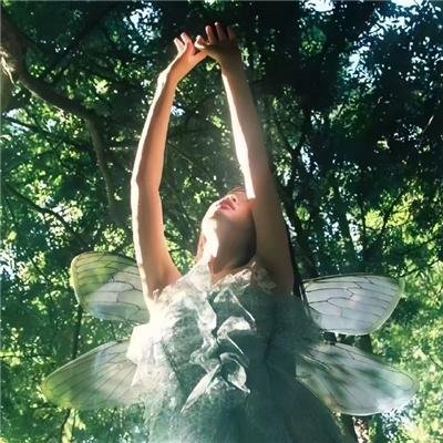 辛巴