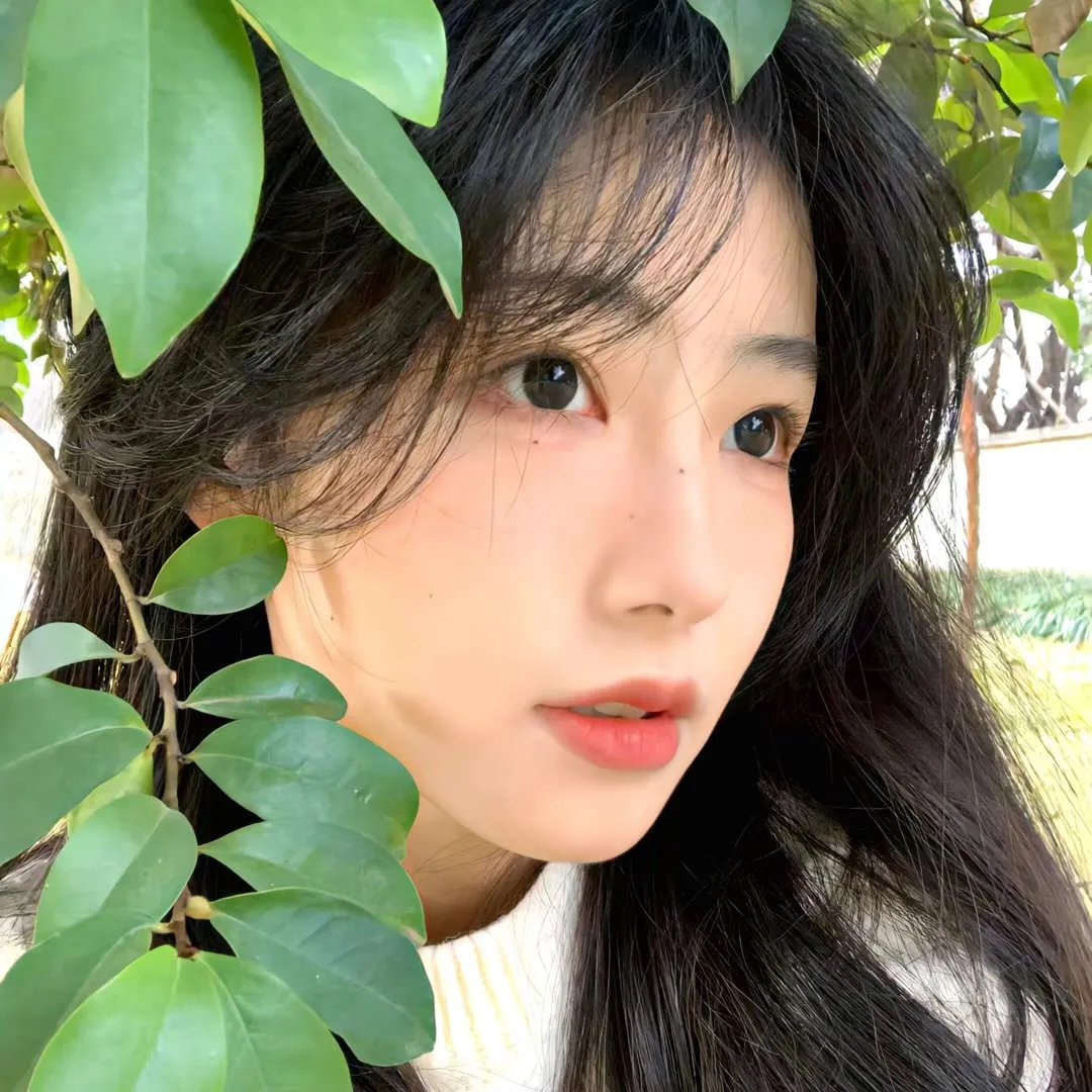 美好的一年
